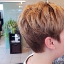 Pixicut mit hellen Highlights